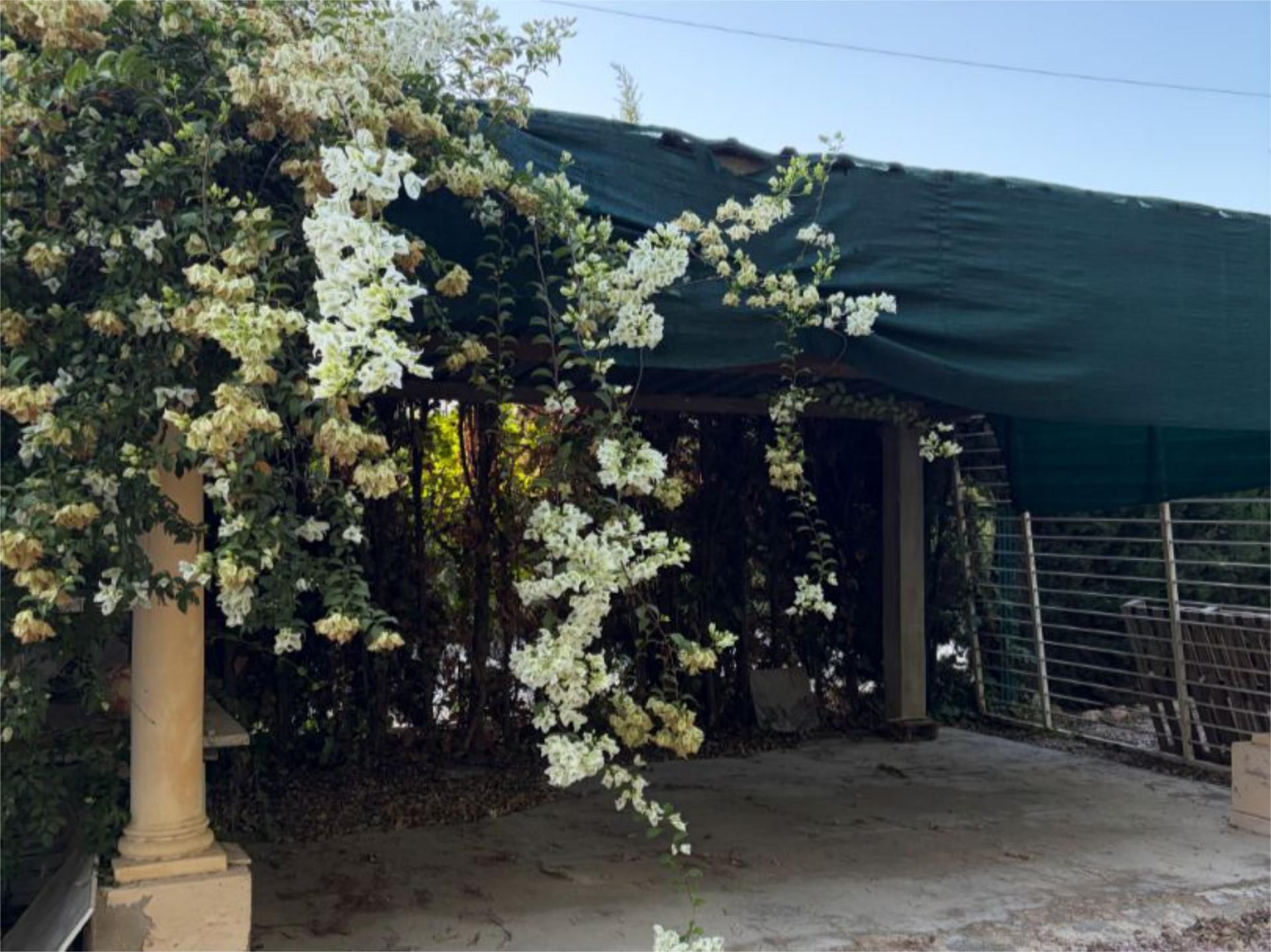 Jardí de Casa o xalet en venda en Elche / Elx amb Aire condicionat, Jardí privat i Terrassa