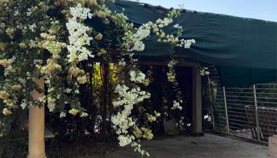 Pis en venda a Carretera Elx - Santa Pola, 3, Perleta - Maitino, Alicante - imatge 1 Foto 1 de Pis en venda a Carretera Elx - Santa Pola, 3, Perleta - Maitino, Alicante