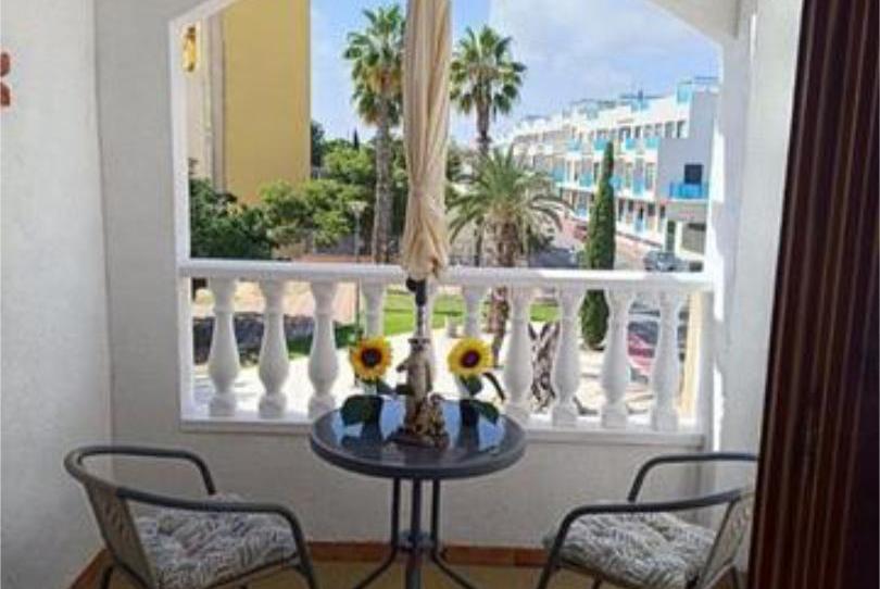 Flat to rent in Avenida Habaneras - Curva de Palangre, Alicante - image 1 Photo 1 of Flat to rent in Avenida Habaneras - Curva de Palangre, Alicante