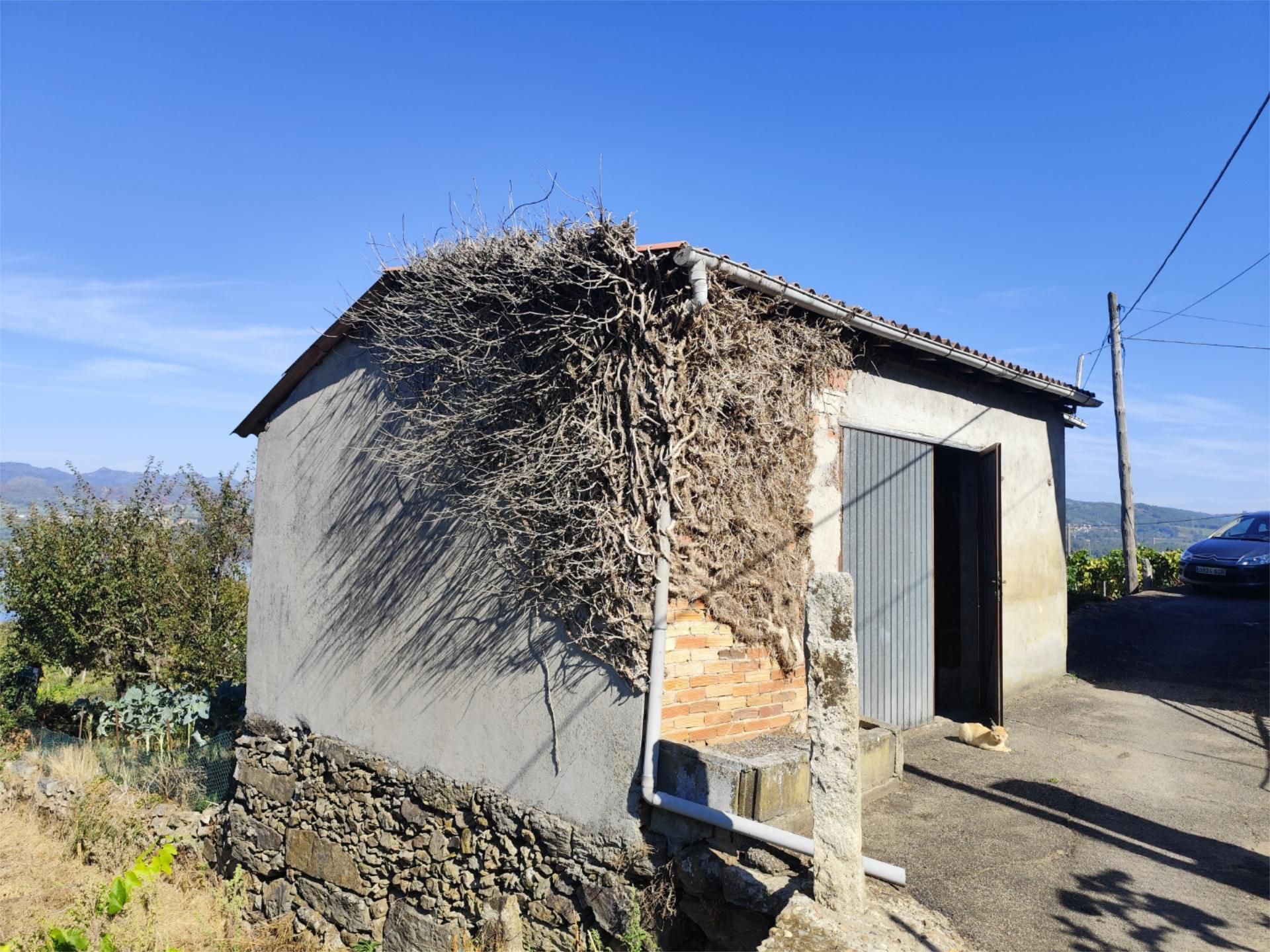 Vista exterior de Terreno en venta en Castrelo de Miño