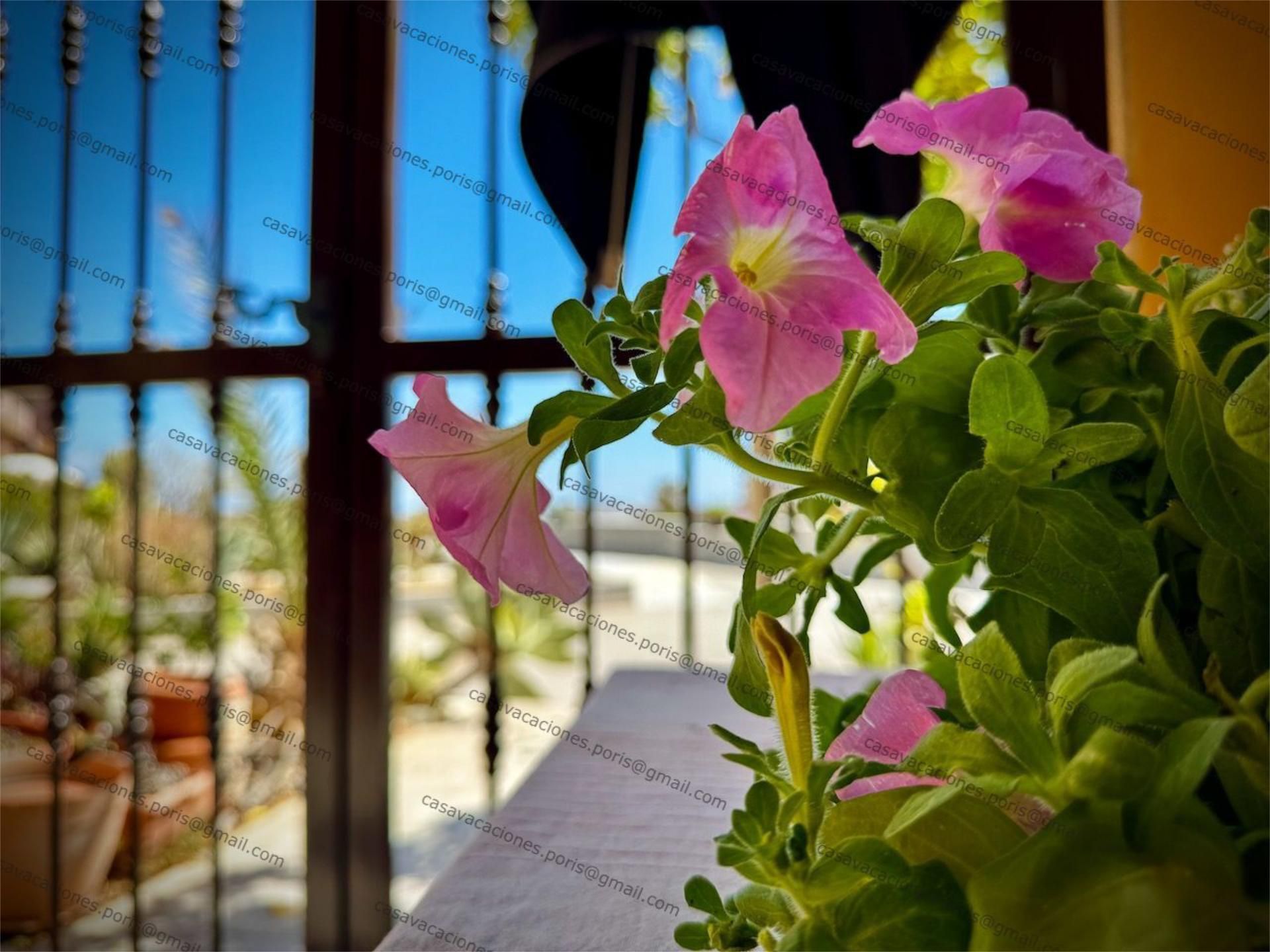 Balcony of Flat for sale in Arico  with Terrace and Balcony