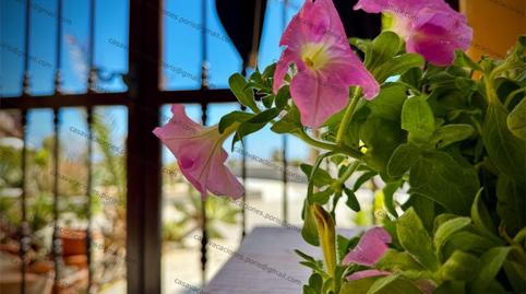 Dúplex en venta en Plaza Nuestra Señora de Fatima, 2, Arico, Santa Cruz de Tenerife - imagen 3 Foto 3 de Dúplex en venta en Plaza Nuestra Señora de Fatima, 2, Arico, Santa Cruz de Tenerife