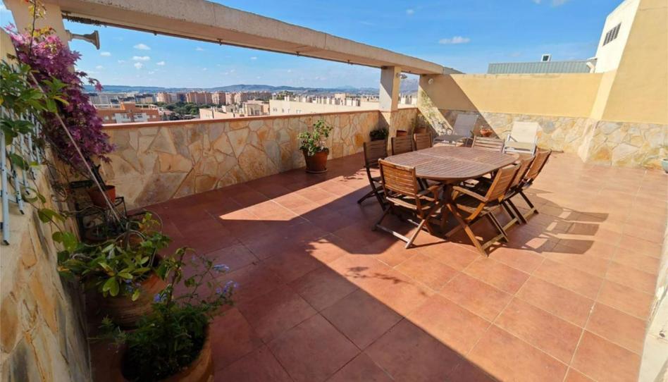 Flat for sale in Avenida Cardenal Francisco Álvarez, 6b, Paus - Poligono San Blas, Alicante - image 1 Photo 1 of Flat for sale in Avenida Cardenal Francisco Álvarez, 6b, Paus - Poligono San Blas, Alicante