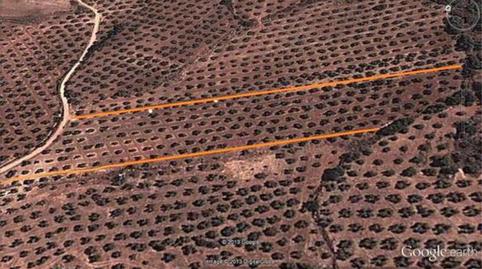 Photo 3 of House or chalet for sale in Villapalacios, Albacete