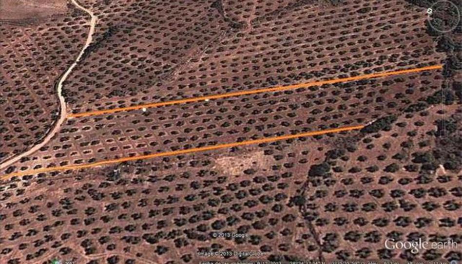 Photo 1 of House or chalet for sale in Villapalacios, Albacete