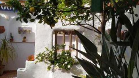 House or chalet to rent in Mazagón, Huelva - image 3 Photo 3 of House or chalet to rent in Mazagón, Huelva