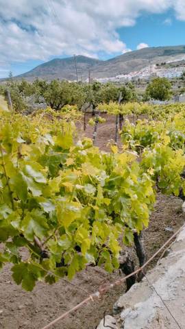 Finca rústica en Venta en Carretera la Estacion, 2 en Abla