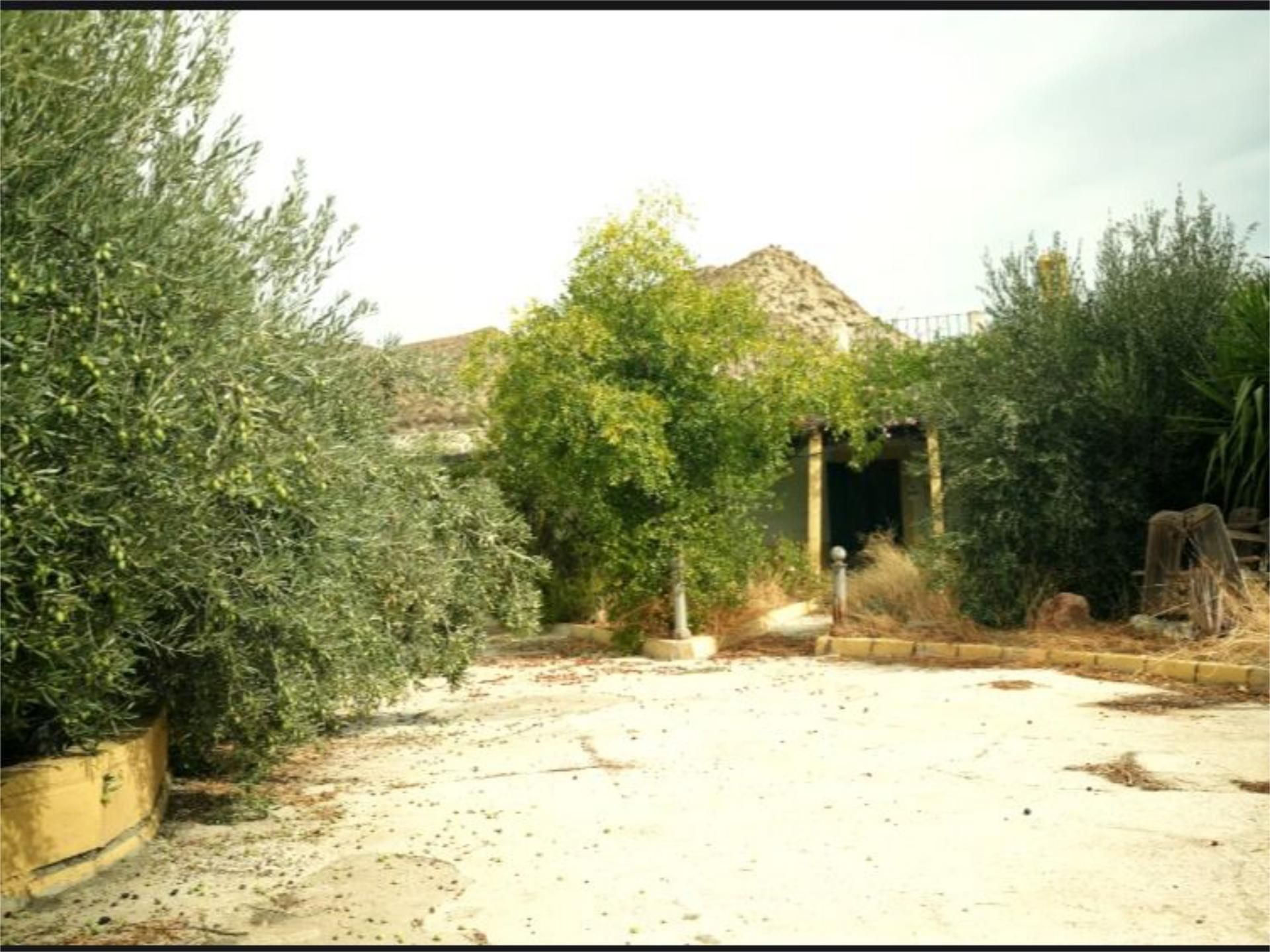 Finca rústica en venta en Paraje la Hoya, 2000, Santa Cruz de Marchena Jardín de Finca rústica en venta en Santa Cruz de Marchena con Jardín privado, Terraza y Piscina