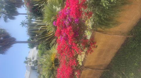 Foto 2 de Pis de lloguer a Calle Casares del Sol, 4, Casares Golf - Casares del Sol, Málaga