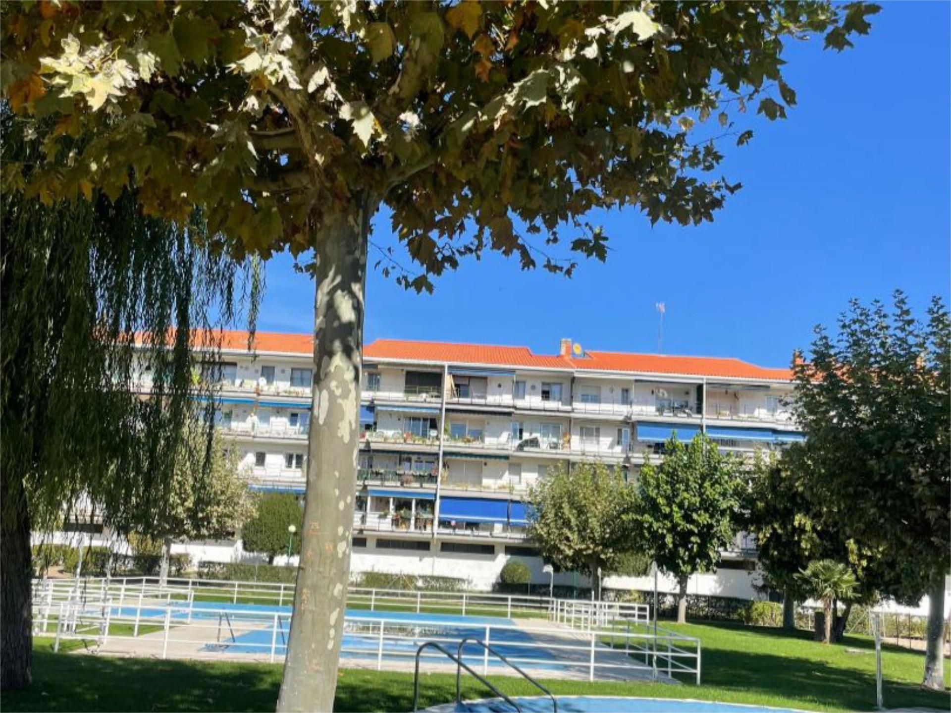 Exterior view of Flat for sale in Collado Villalba  with Swimming Pool