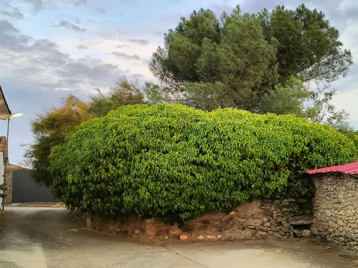 Flat for sale in Calle Pozo, 2, Doñinos de Ledesma Garden of Flat for sale in Doñinos de Ledesma with Private garden, Terrace and Storage room