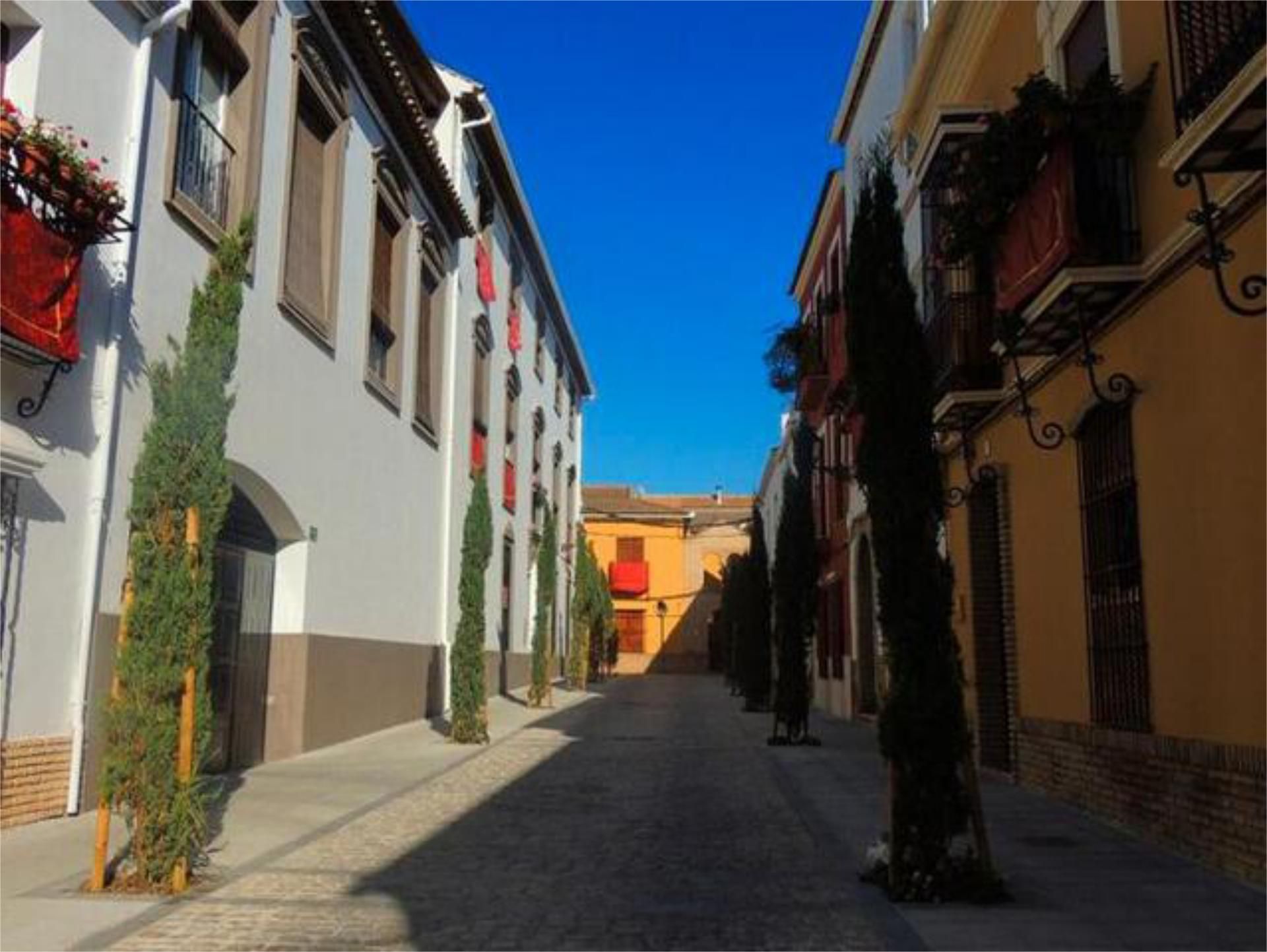 Vista exterior de Apartament de lloguer en Puente Genil