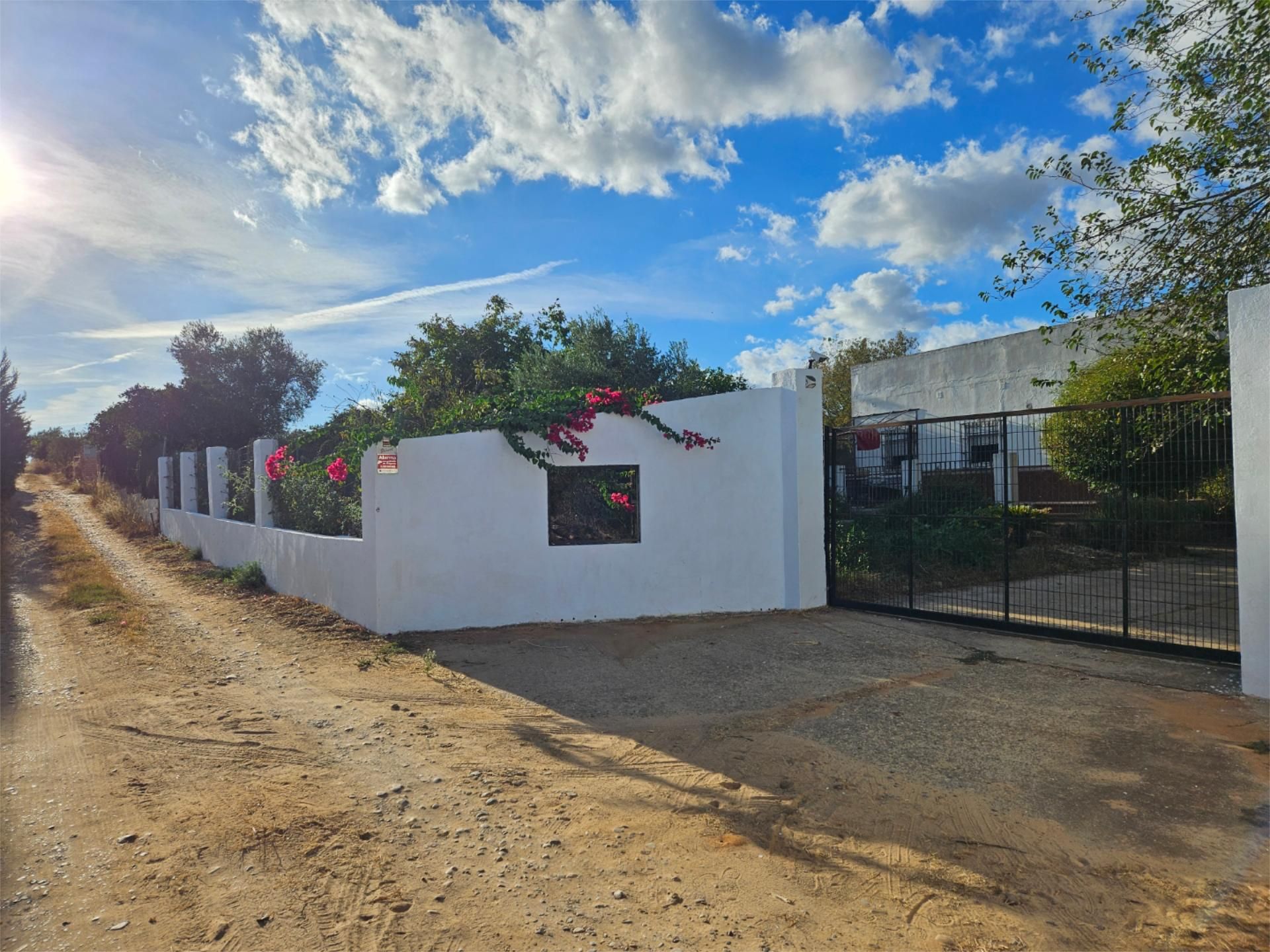 Vista exterior de Finca rústica en venda en Pilas amb Aire condicionat, Terrassa i Piscina