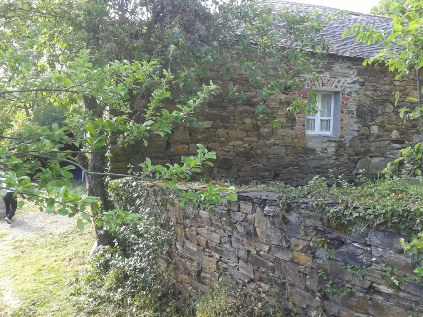 Wohnung zum Verkauf in Lugar Vilaframil, A Fonsagrada Außenansicht von Wohnung zum Verkauf in A Fonsagrada mit Privatgarten