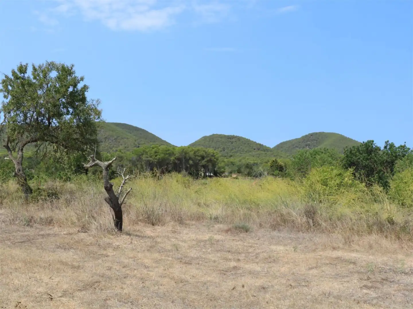Finca rústica en venta en Sant Carles Finca rústica en venta en Santa Eulària des Riu con Calefacción, Jardín privado y Parquet