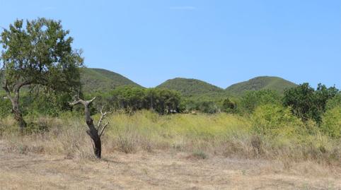 Foto 3 de Finca rústica en venta en Sant Carles, Illes Balears
