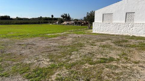 Finca rústica en venta en Carrer Catalan, 6, Crevillent, Alicante - imagen 3 Foto 3 de Finca rústica en venta en Carrer Catalan, 6, Crevillent, Alicante