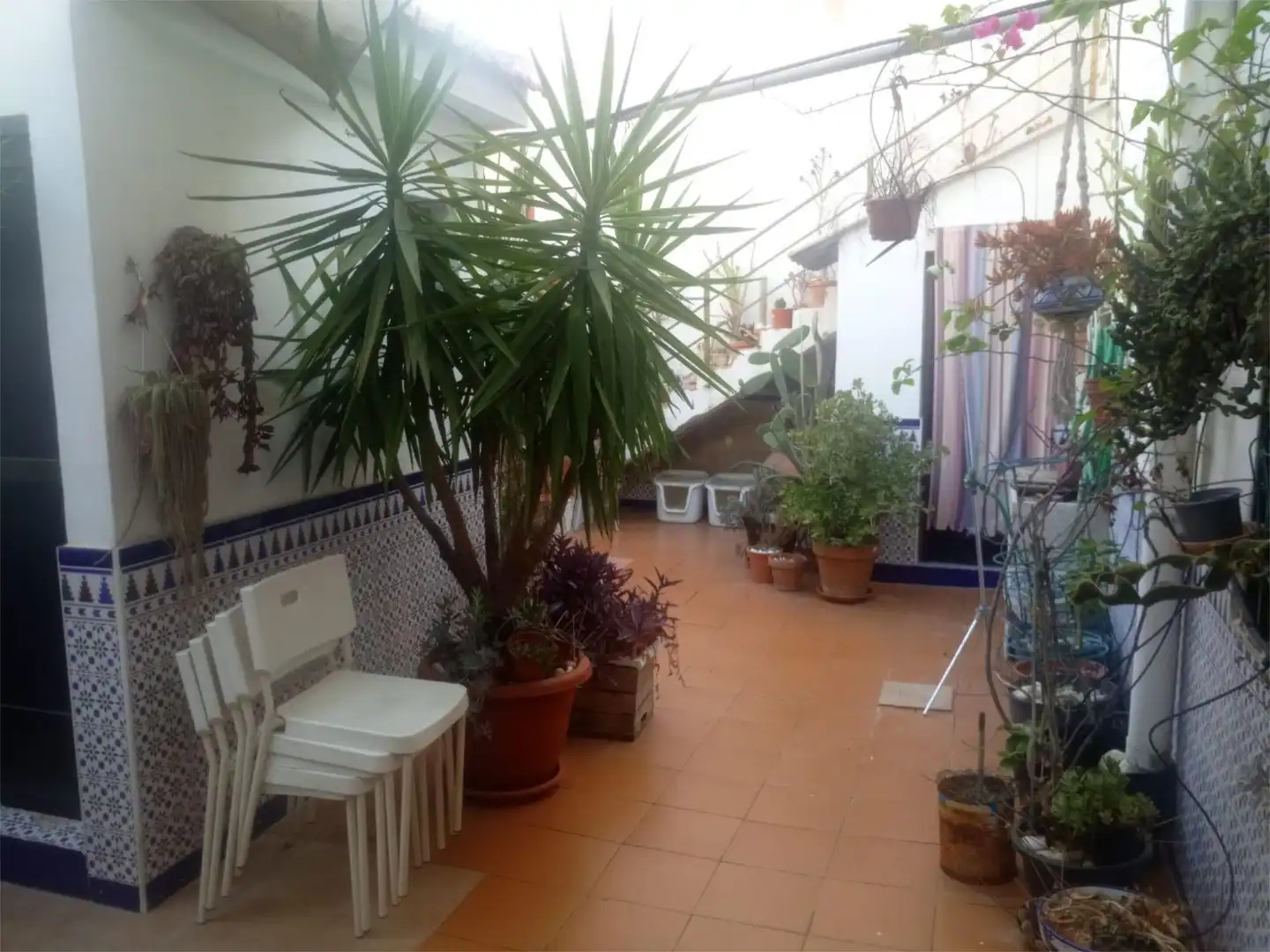 Piso en venta en Calle Escultor José Planes, 17, Espinardo Terraza de Piso en venta en Murcia