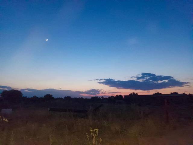 Finca rústica en Alquiler en Calle Los Pozos, 21 en La Puebla de Montalbán