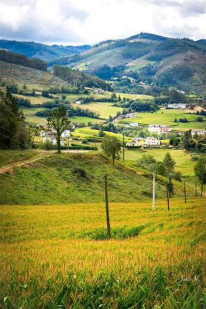 Vista exterior de Casa o xalet de lloguer en El Franco  amb Jardí privat, Terrassa i Traster