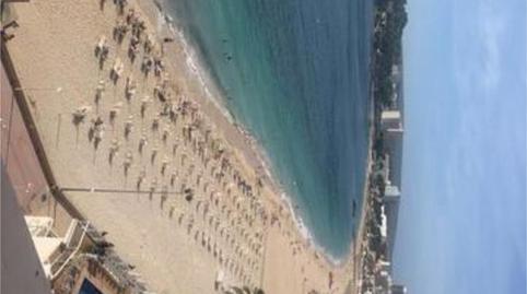 Photo 3 of Apartment to rent in Magaluf, Illes Balears