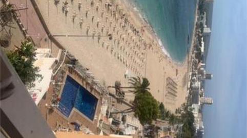 Photo 4 of Apartment to rent in Magaluf, Illes Balears