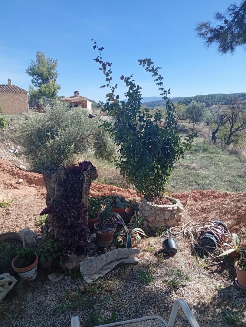 Jardí de Casa o xalet de lloguer en Alhama de Murcia amb Jardí privat i Traster