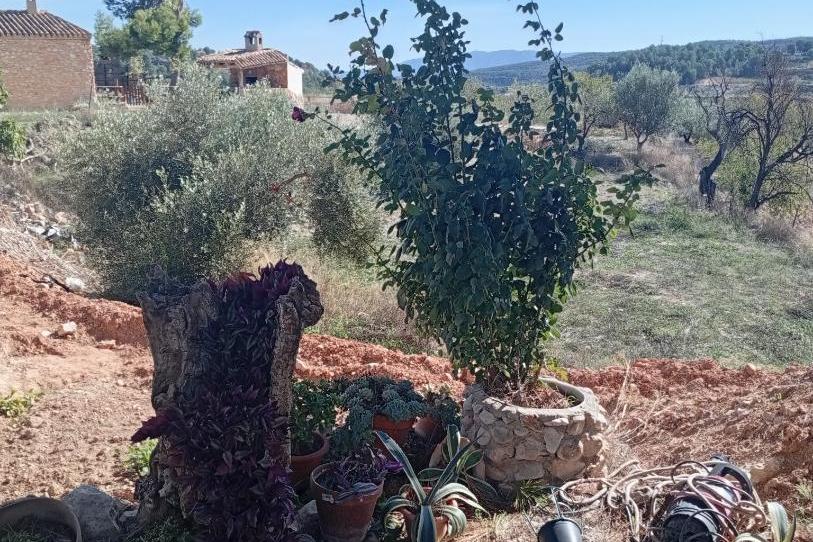 Casa o xalet en venda a Calle Montalbán, 11, Alhama de Murcia ciudad, Murcia - imatge 1 Foto 1 de Casa o xalet en venda a Calle Montalbán, 11, Alhama de Murcia ciudad, Murcia