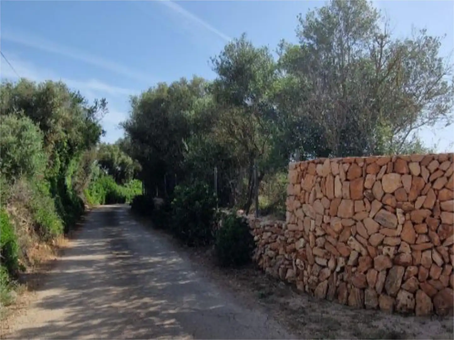 Casa o chalet de alquiler en Ctra Palma- Porto Petro, Km 33, Zona Rústica - Interior Casa o chalet de alquiler en Ctra Palma- Porto Petro, Km 33, Zona Rústica - Interior
