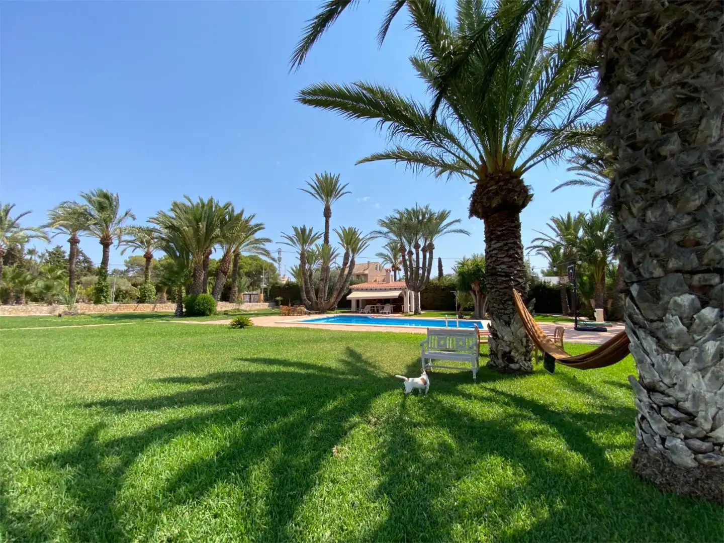 Casa o chalet en venta en Partida Els Siprerets, 15, Noroeste Jardín de Casa o chalet en venta en Santa Pola con Aire acondicionado, Terraza y Piscina