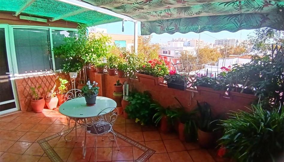 Foto 1 de Àtic en venda a Carrer Republica Argentina, 68, Florida Baja, Alicante