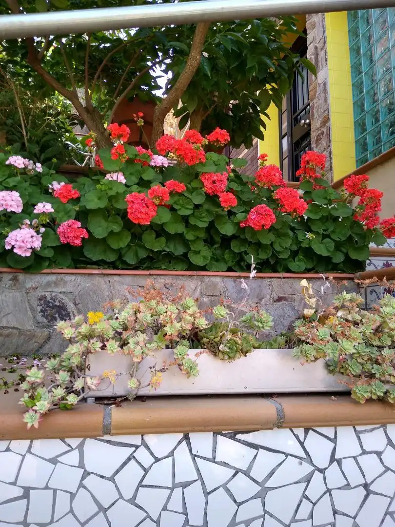 Habitació a Carrer de Ramon Llull, 10, La Miranda Habitació a Carrer de Ramon Llull, 10, La Miranda