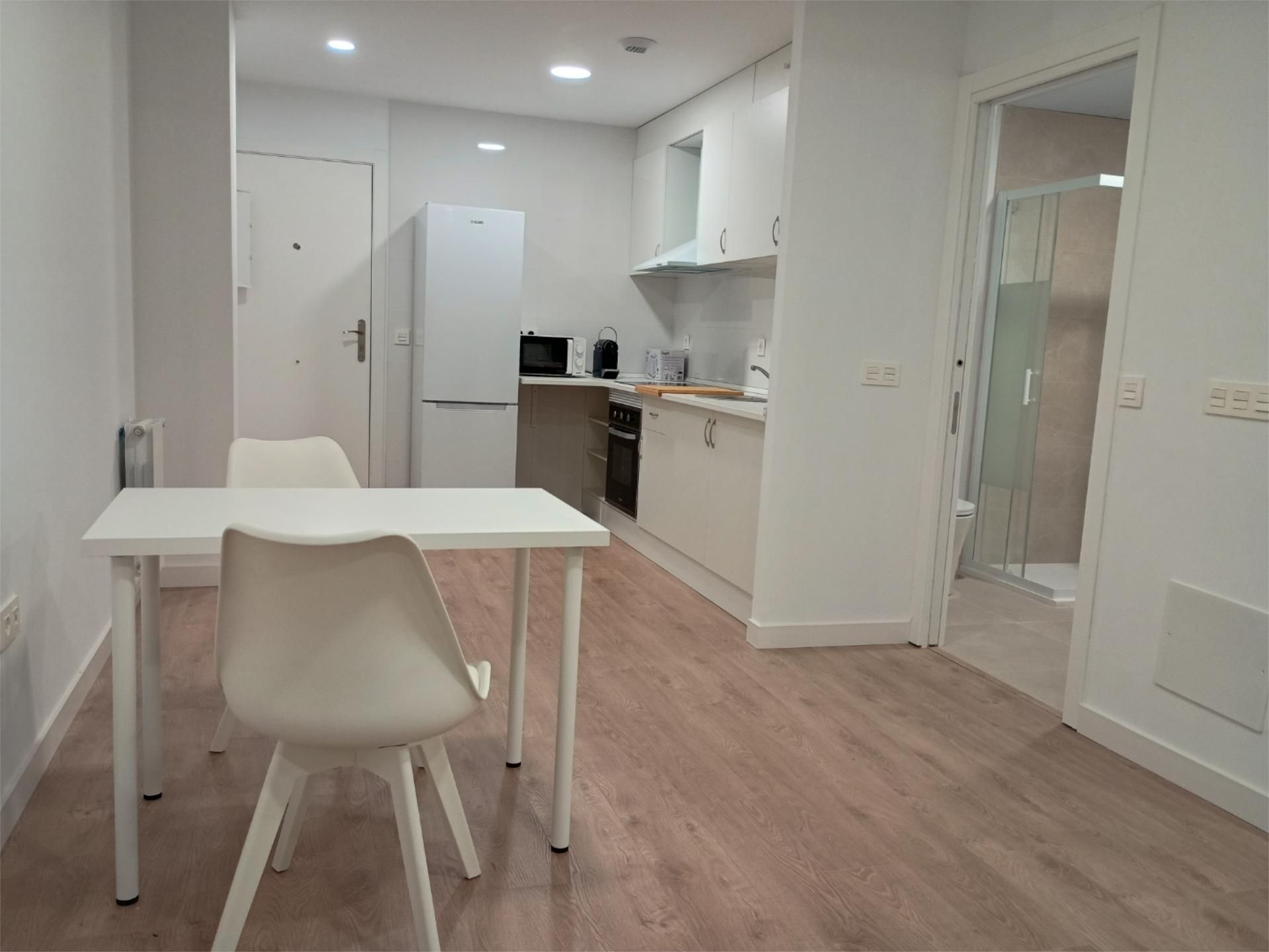 Loft de lloguer a Avenida de Elvas, Avenida Elvas Cuina de Loft de lloguer en Badajoz Capital amb Aire condicionat, Calefacció i Jardí privat