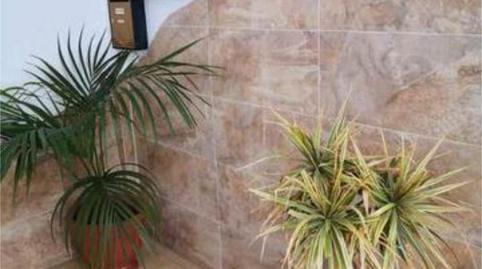 Flat to rent in Gracia, Santa Cruz de Tenerife - image 2 Photo 2 of Flat to rent in Gracia, Santa Cruz de Tenerife