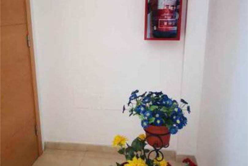 Flat to rent in Gracia, Santa Cruz de Tenerife - image 1 Photo 1 of Flat to rent in Gracia, Santa Cruz de Tenerife