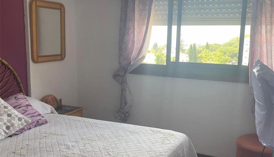 Study to share in Avenida las Palmeras, 20, Huerta Belón - Calvario, Málaga - image 1 Photo 1 of Study to share in Avenida las Palmeras, 20, Huerta Belón - Calvario, Málaga