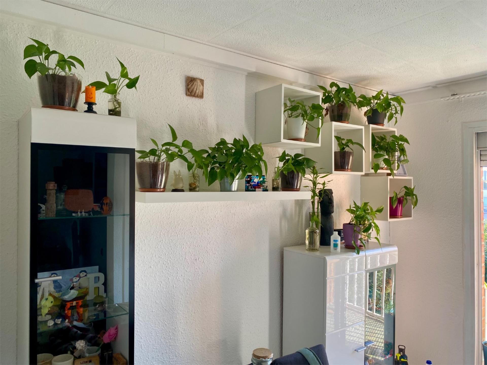 Flat for sale in Carrer de Caldes, 7, La Llagosta Living room of Flat for sale in La Llagosta