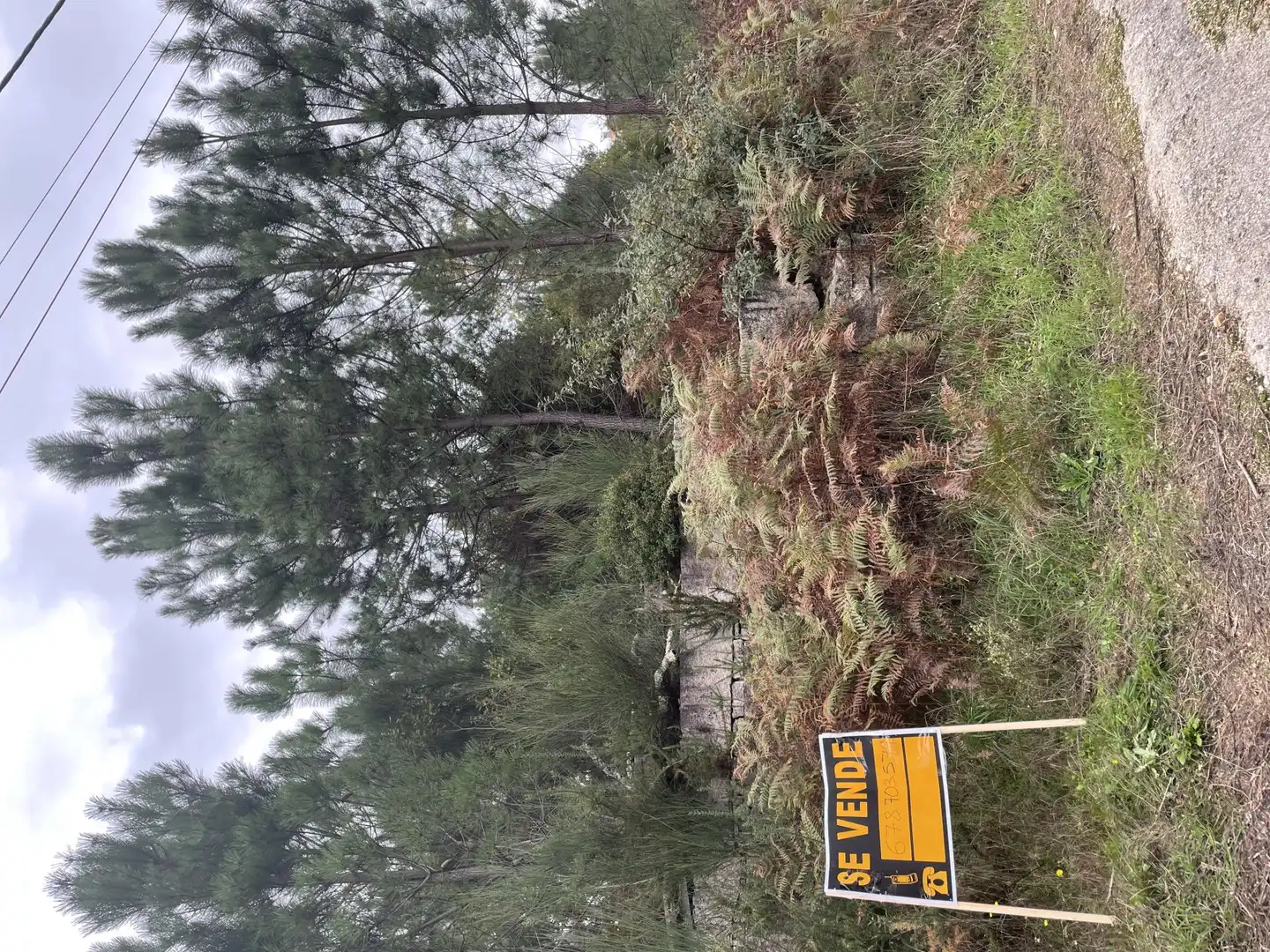 Country homes for sale in O Porriño  