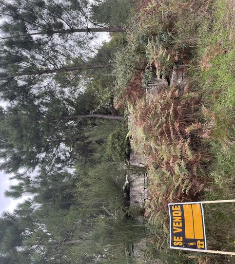 Foto 2 de Finca rústica en venta en Lugar O Mosteiro, 29, O Porriño  , Pontevedra