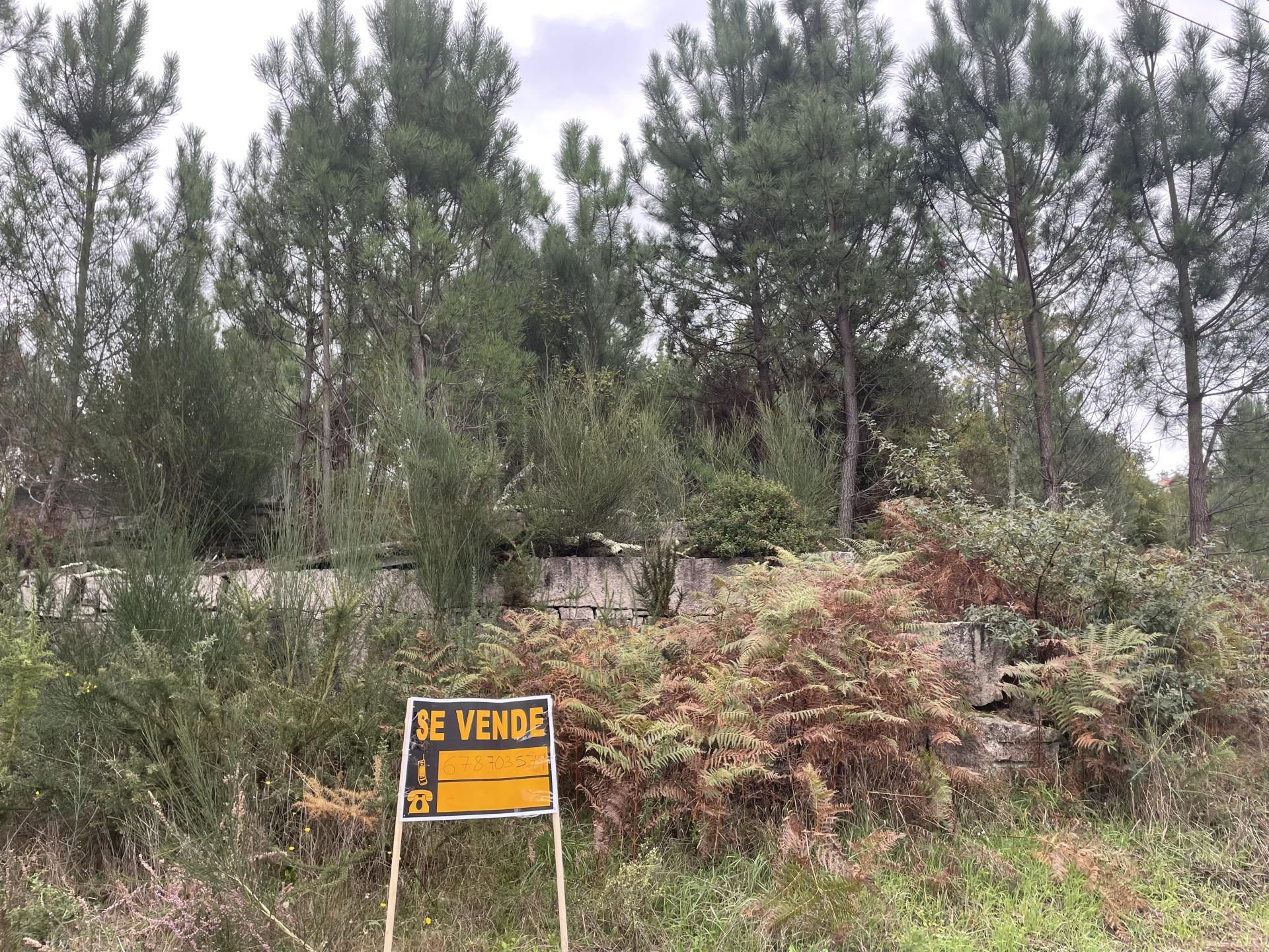 Country house for sale in Lugar O Mosteiro, 29, O Porriño Country house for sale in O Porriño