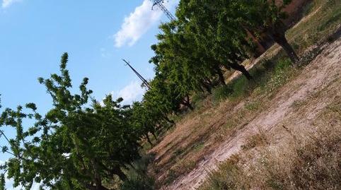 Photo 5 of Flat for sale in Carrer Flix, 27, Bovera, Lleida