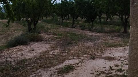 Photo 4 of Flat for sale in Carrer Flix, 27, Bovera, Lleida