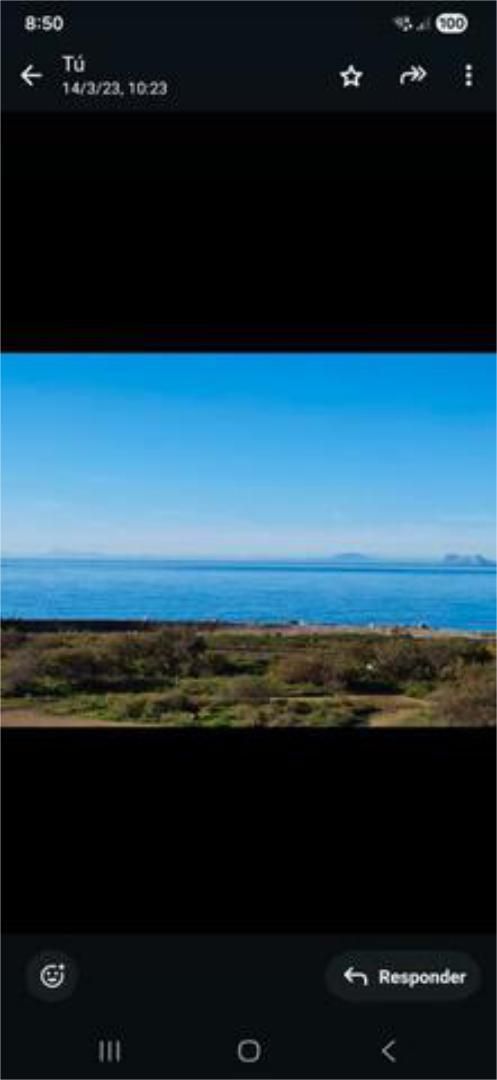 Flat to rent in Seghers Flat to rent in Estepona  with Heating, Private garden and Terrace