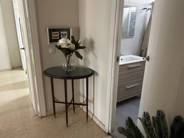 Apartamento en Alquiler en Calle Álamos, 4 en Centro Histórico