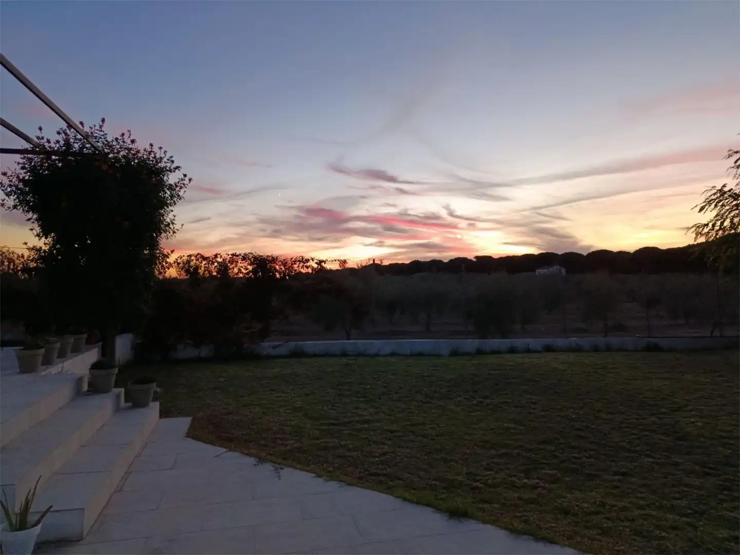 Jardín de Casa o chalet en venta en Hinojos