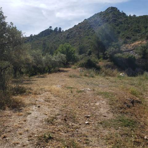 Finca rústica en Alquiler en Carrer Marcel·lí Domingo, 13 en Benifallet