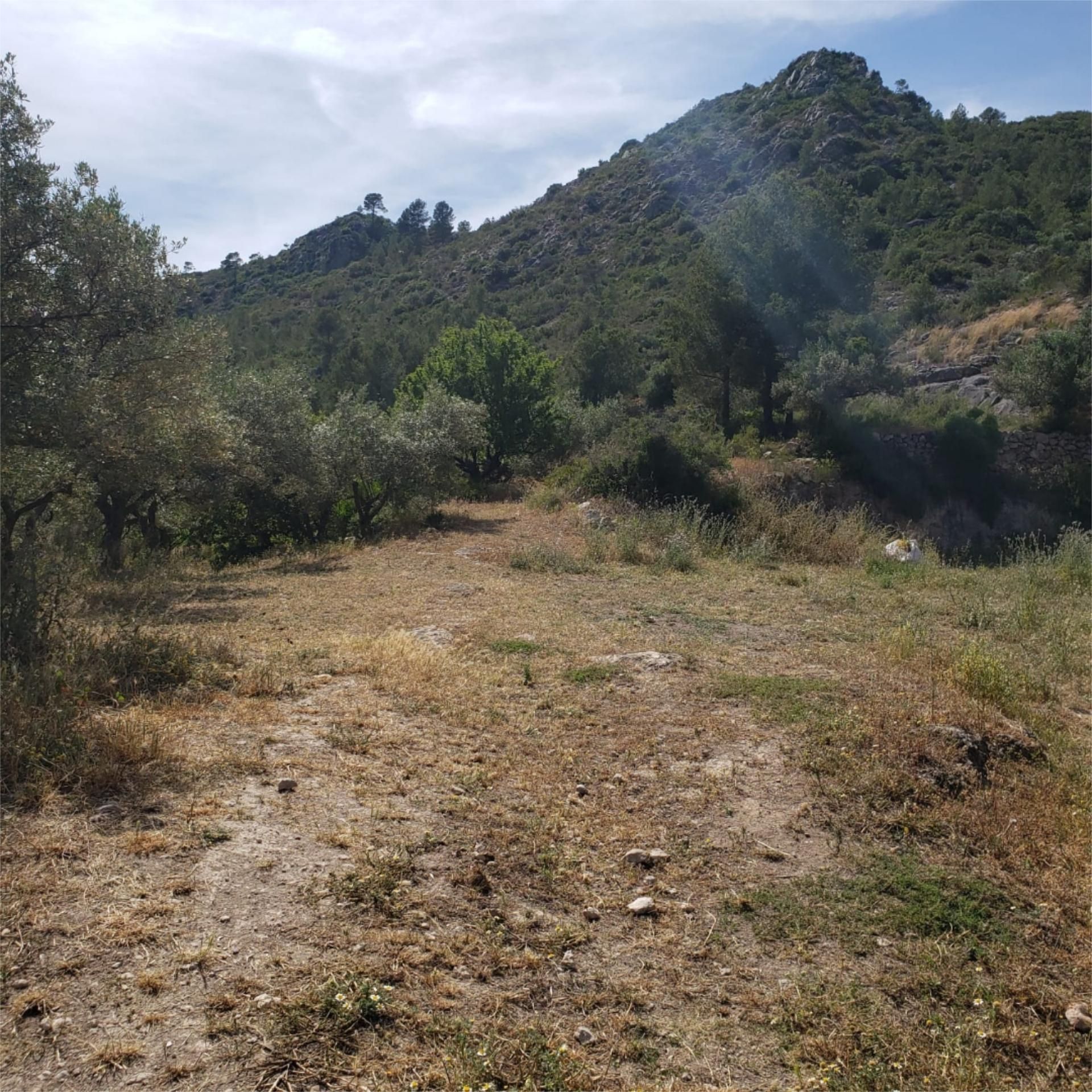 Finca rústica de alquiler en Carrer Marcel·lí Domingo, 13, Benifallet Finca rústica de alquiler en Carrer Marcel·lí Domingo, 13, Benifallet