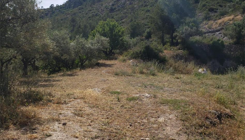 Finca rústica de alquiler en Carrer Marcel·lí Domingo, 13, Benifallet, Tarragona - imagen 1 Foto 1 de Finca rústica de alquiler en Carrer Marcel·lí Domingo, 13, Benifallet, Tarragona