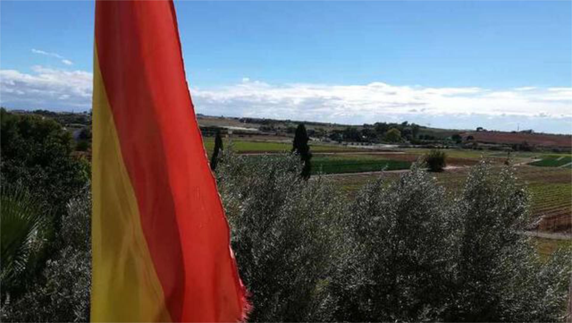Casa o xalet de lloguer a El Viso del Alcor Jardí de Casa o xalet de lloguer en El Viso del Alcor amb Calefacció, Jardí privat i Terrassa