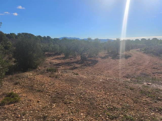 Finca rústica en Venta en El Pont d'Armentera